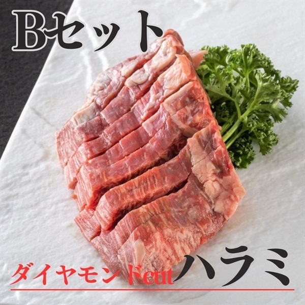 焼肉トラジ厳選セット（化粧箱入り）(Bセット（ダイヤモンドカットハラミ）)